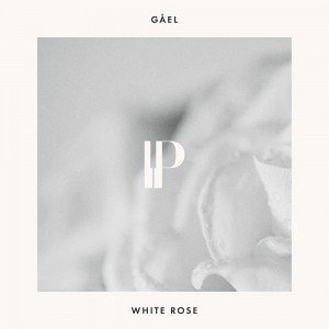 gael-white-rose.jpg