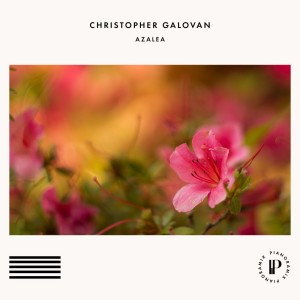 christopher-galovan-azalea.jpg