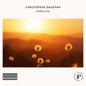 christopher-galovan-dandelion.jpg