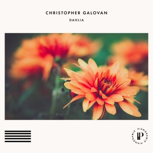 christopher-galovan-dahlia.jpg