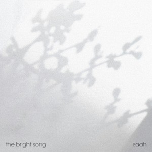 the bright song (artwork).jpg